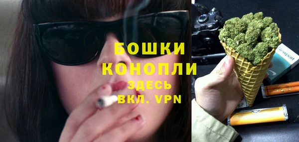 сатива Нязепетровск