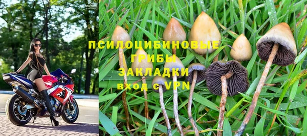 твердый Новокубанск