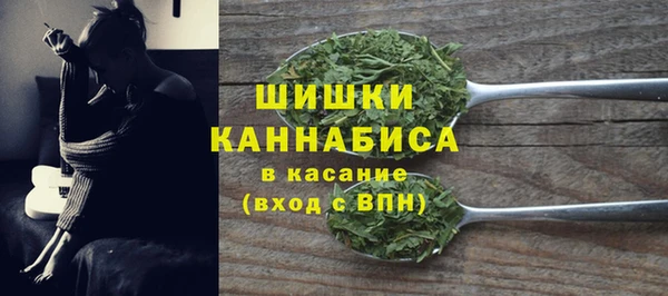 сатива Нязепетровск