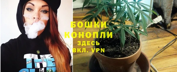 гашиш Новозыбков