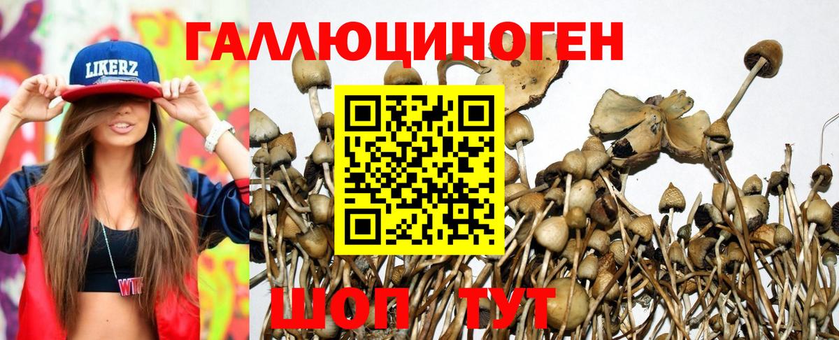 Галлюциногенные грибы Magic Shrooms Советский