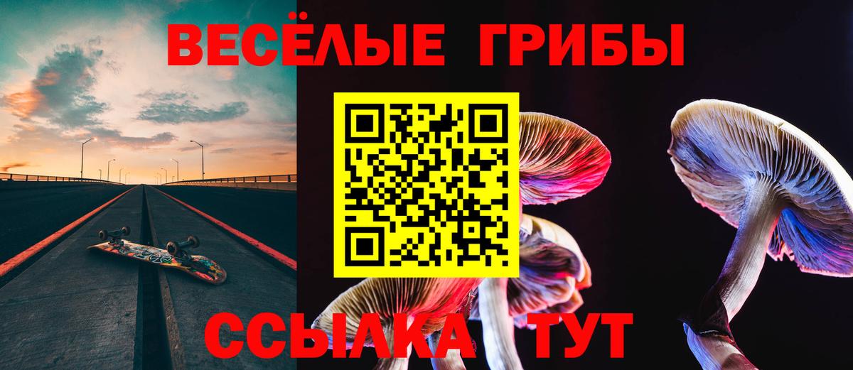 Галлюциногенные грибы Psilocybe  Вход с VPN  Советский  Галлюциногенные грибы мицелий 